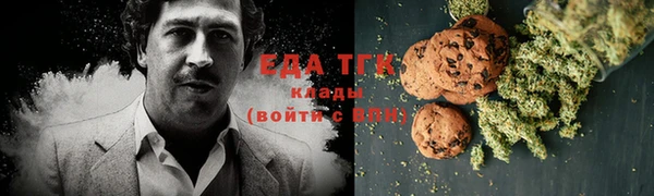крисы Козельск