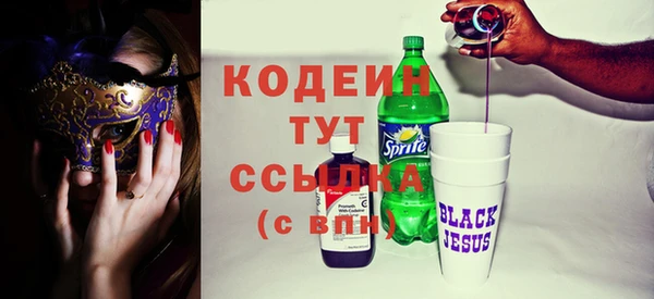 крисы Козельск