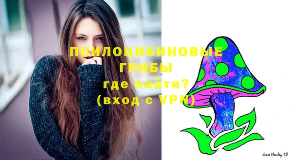 крисы Козельск