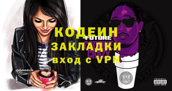 крисы Козельск