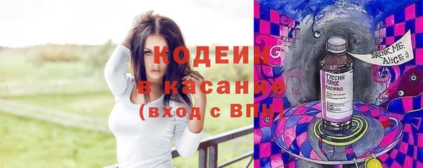 крисы Козельск