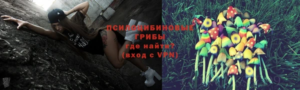 2c-b Костерёво