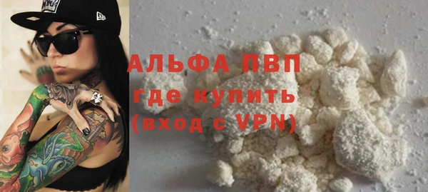 крисы Козельск